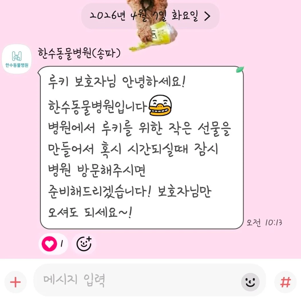 리뷰 사진 1