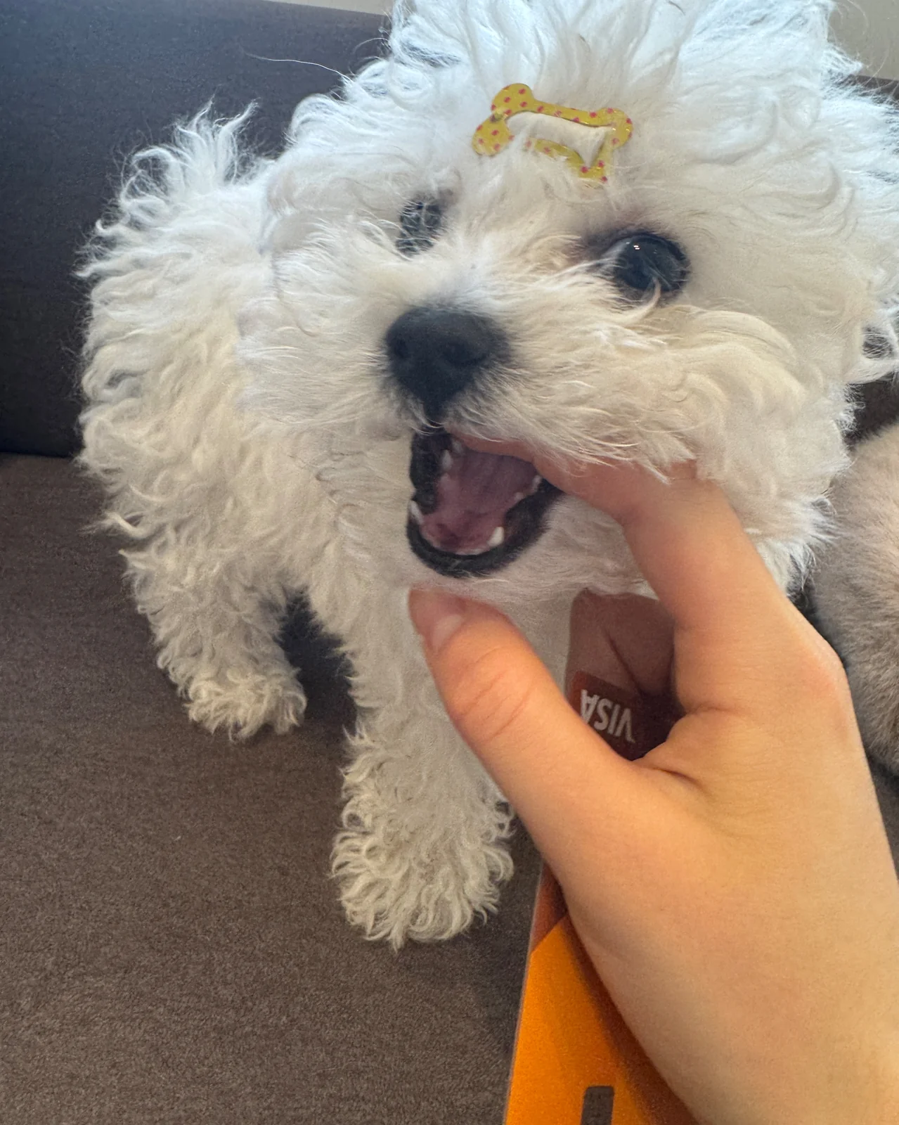 리뷰 사진 1