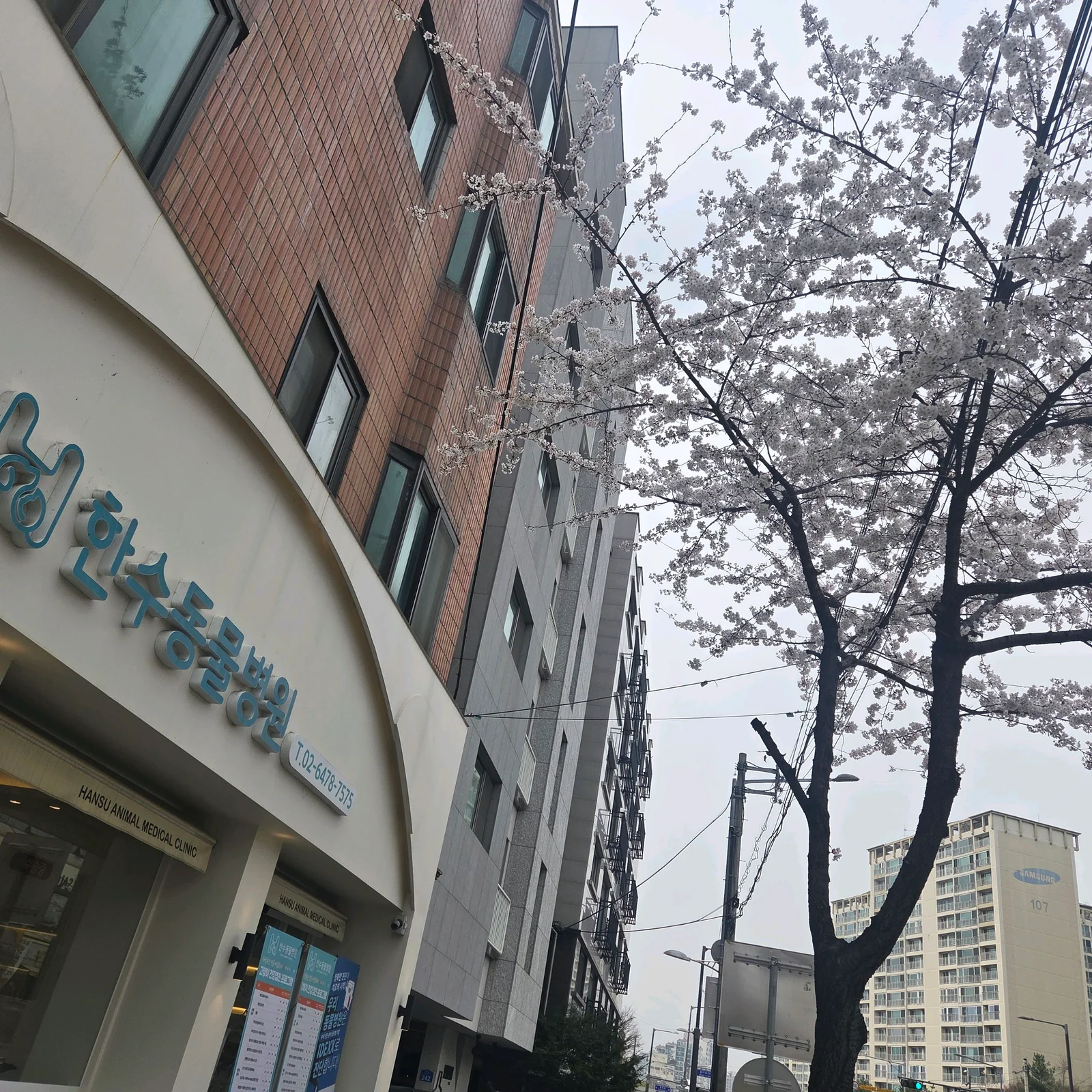 리뷰 사진 1