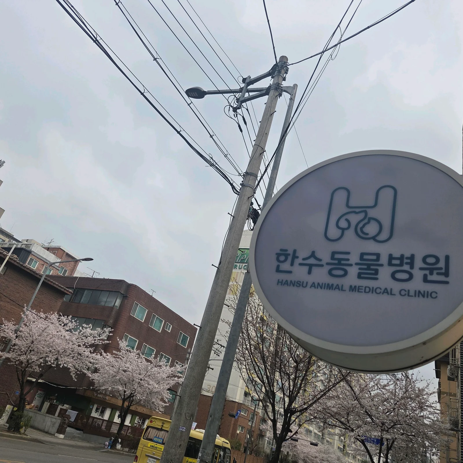 리뷰 사진 2