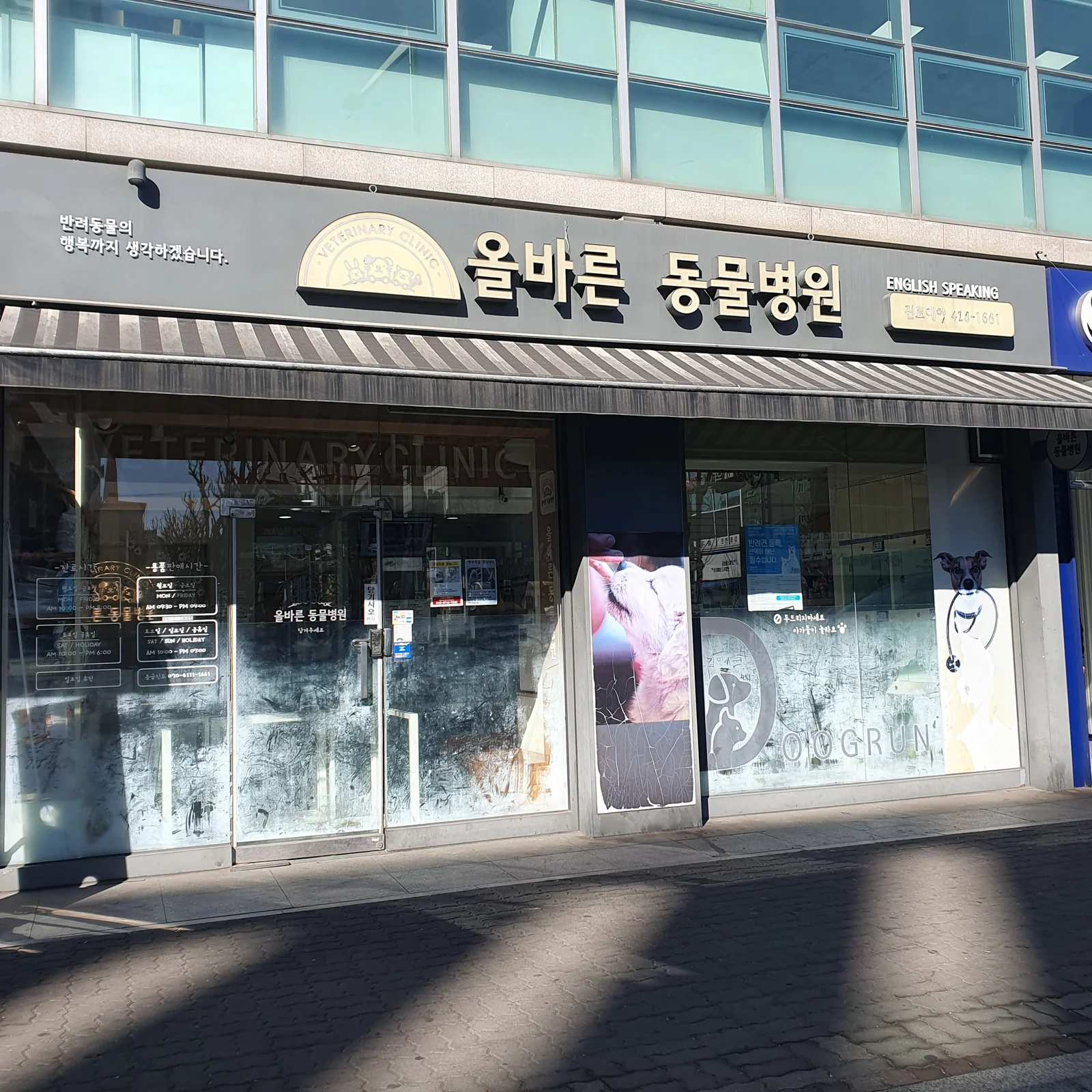 암사동물병원 사진 2