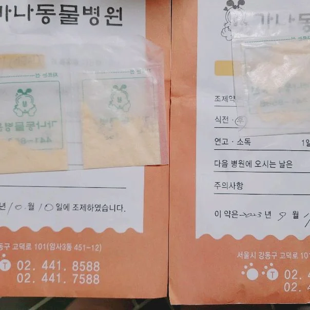 가나동물병원 사진 2