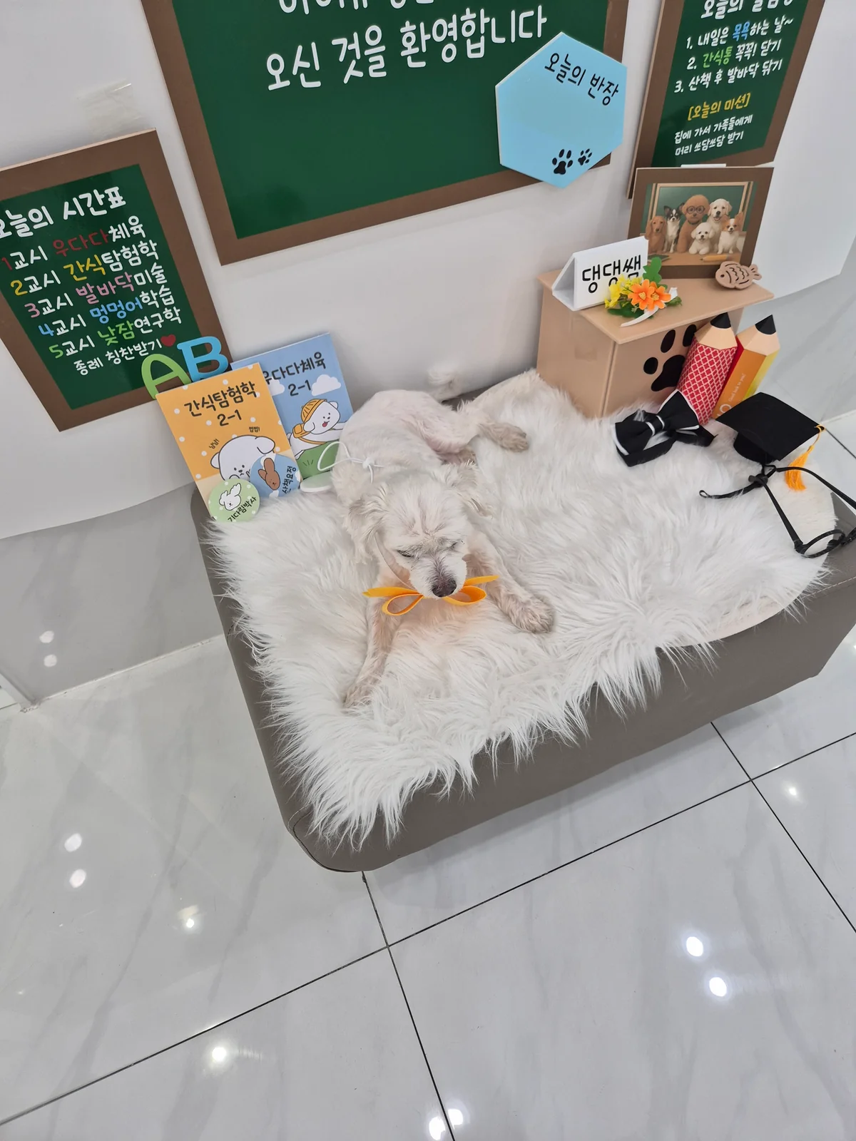 리뷰 사진 1