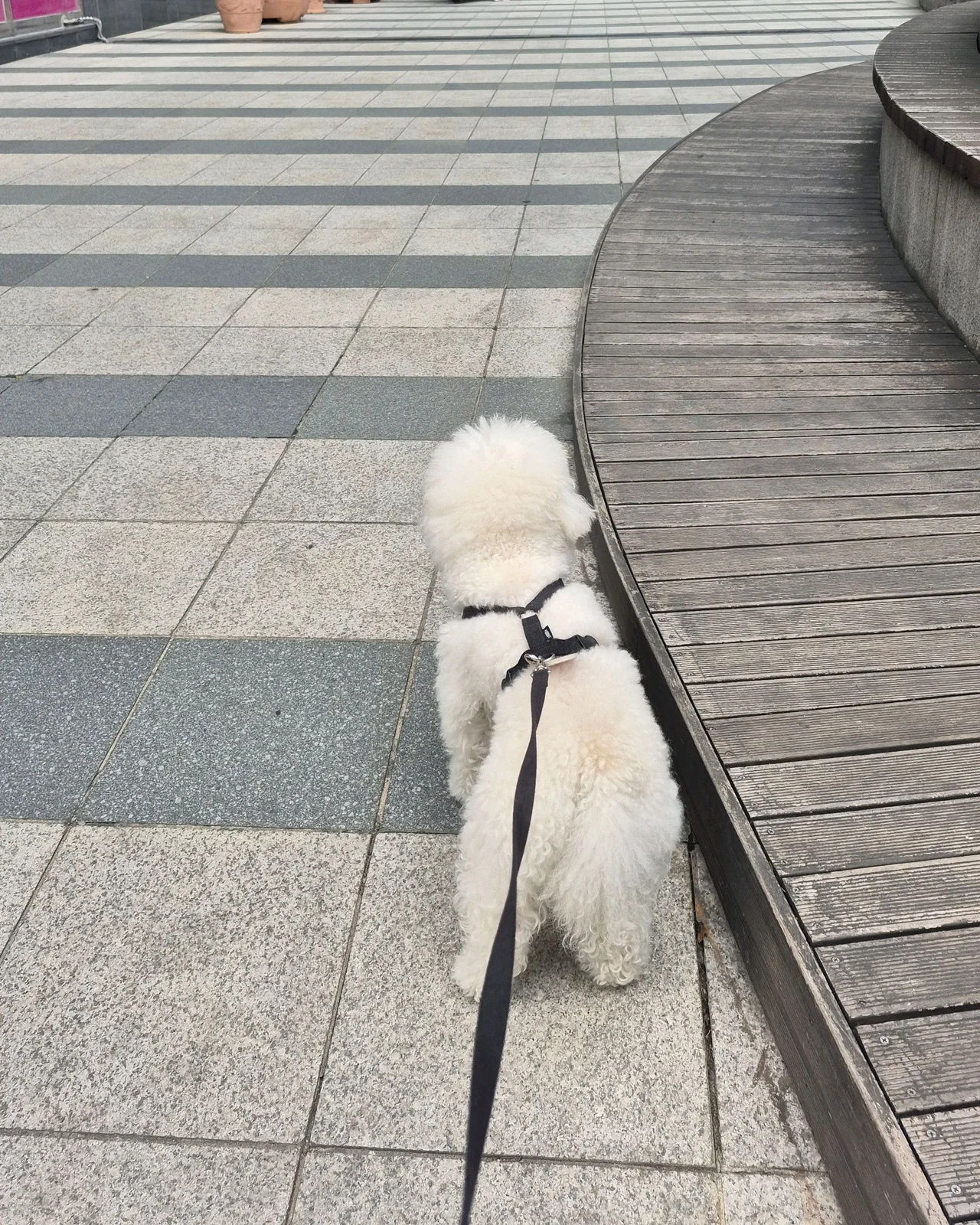 리뷰 사진 1
