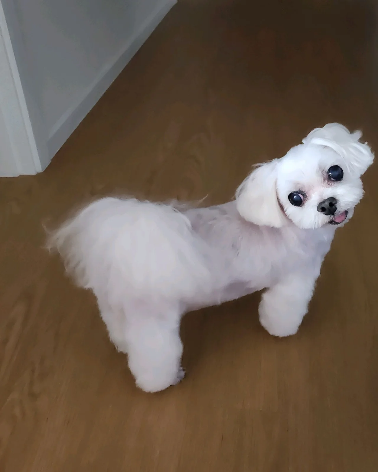 리뷰 사진 1