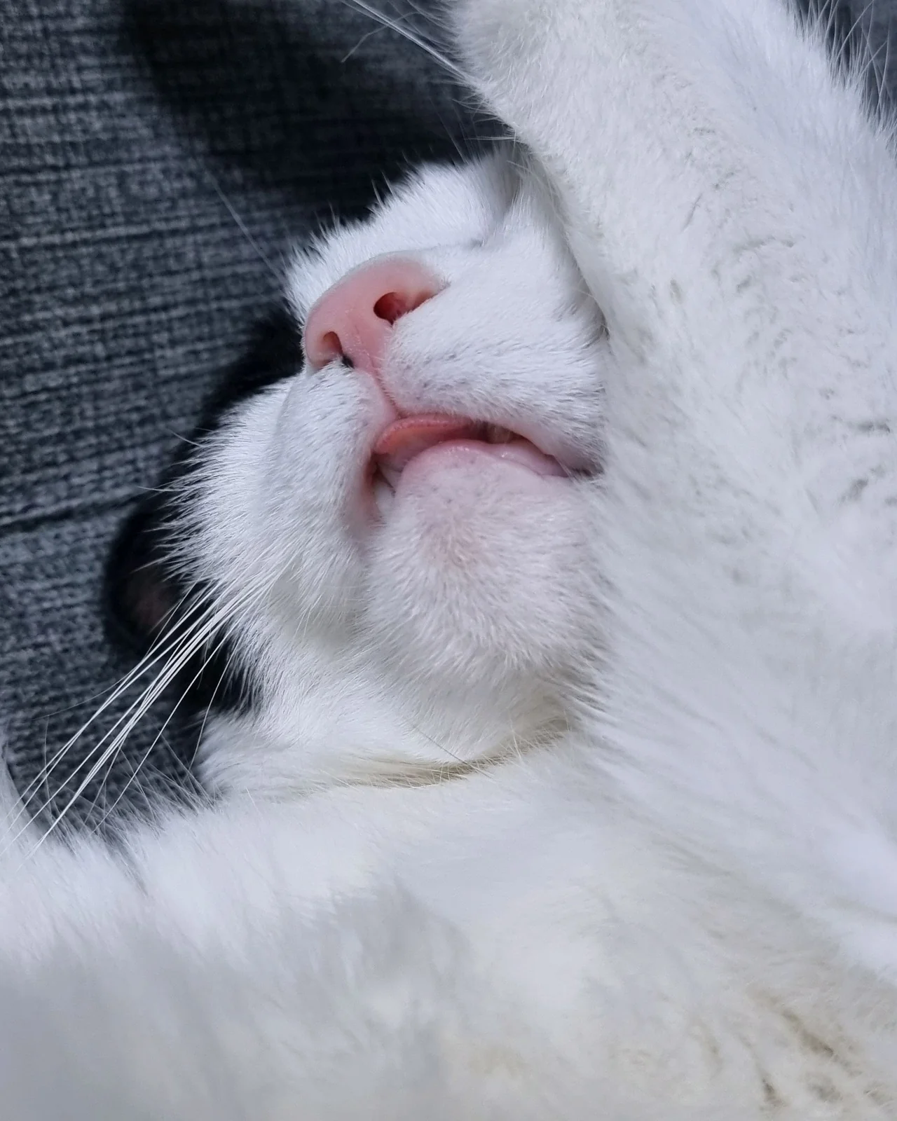 리뷰 사진 1
