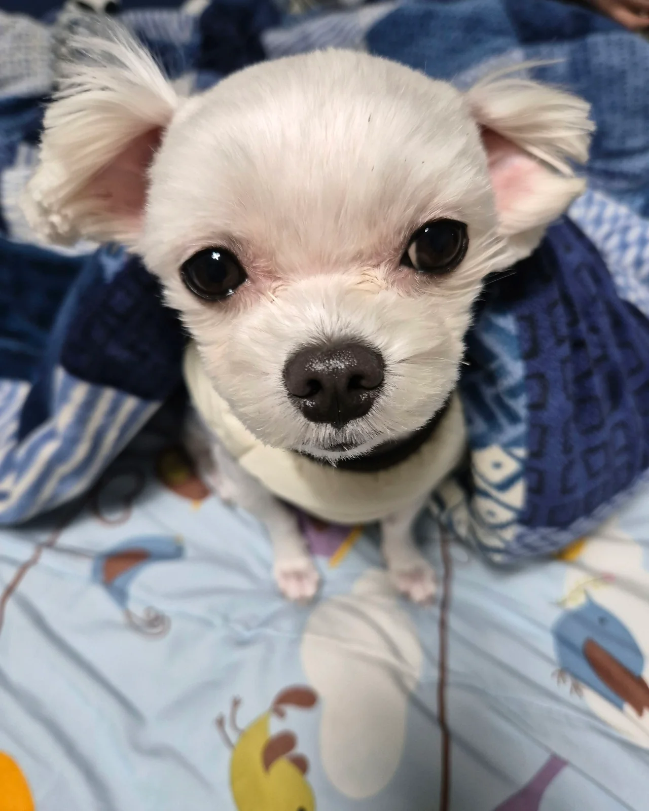 리뷰 사진 1