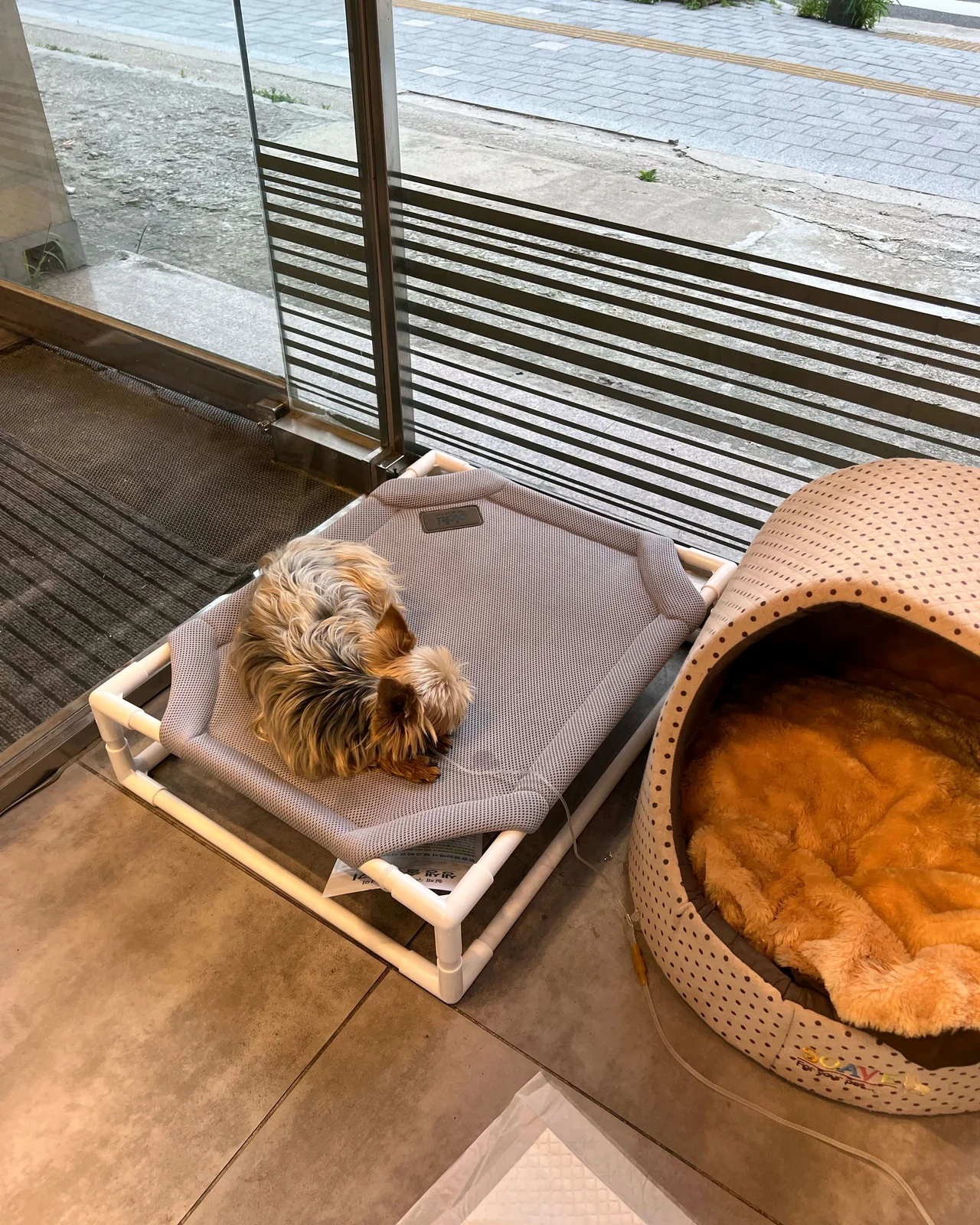 리뷰 사진 1