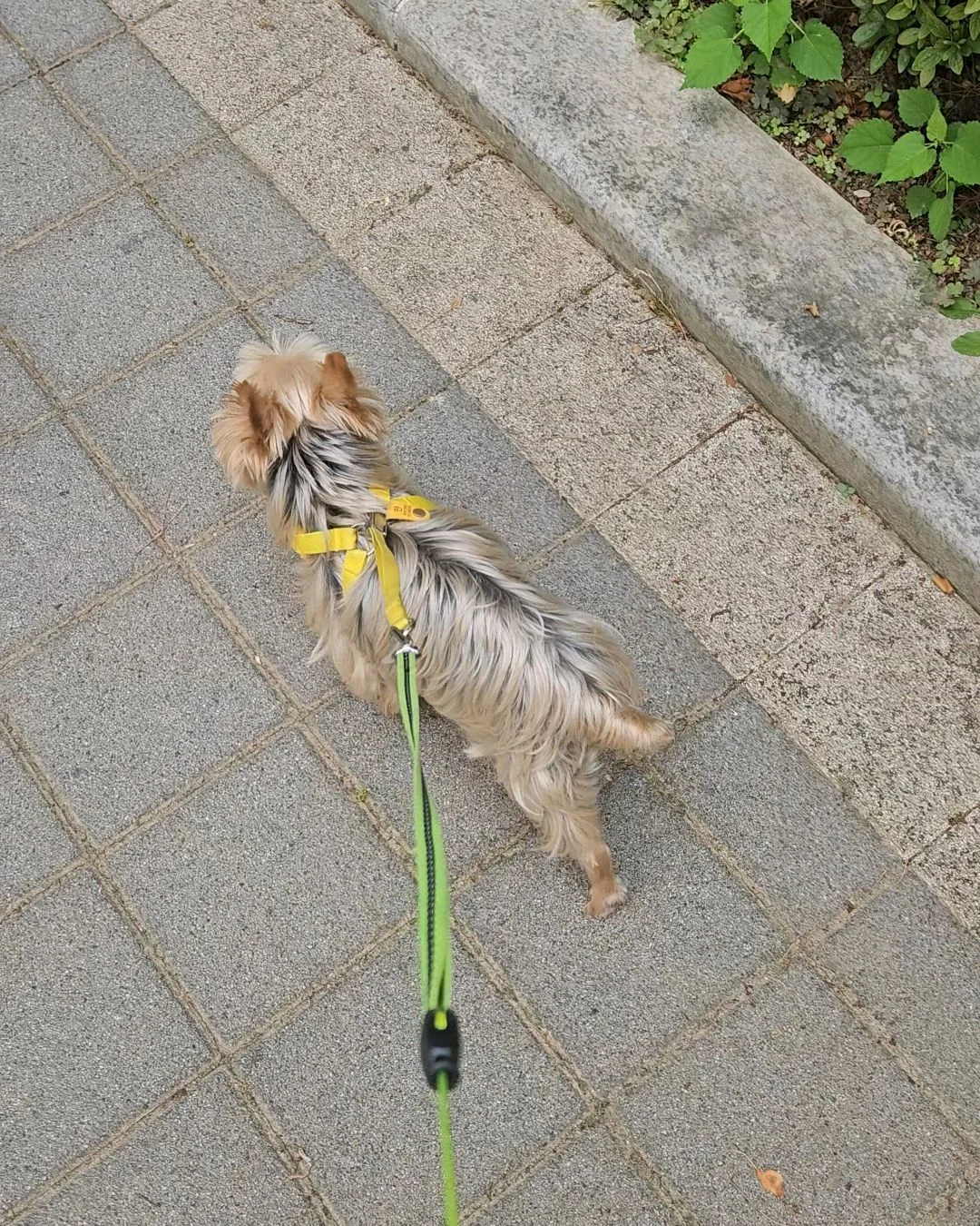 리뷰 사진 2