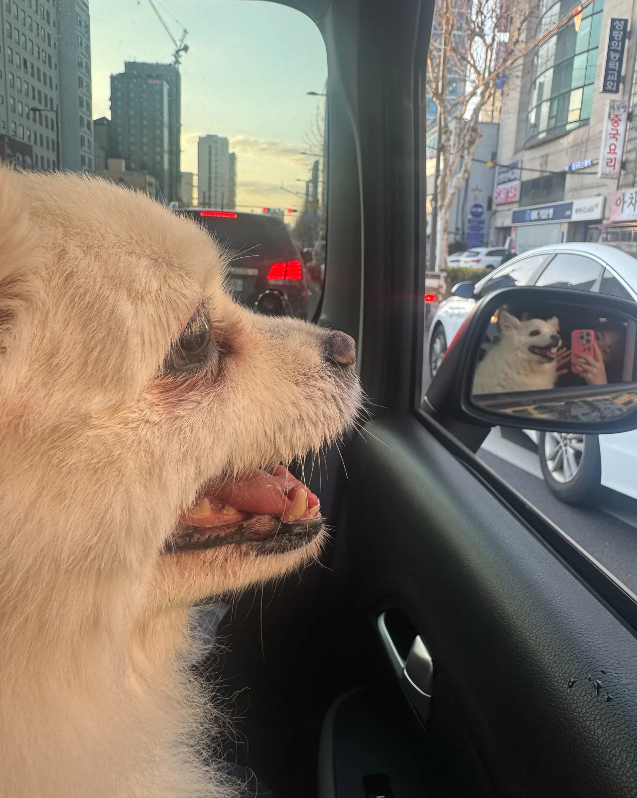 리뷰 사진 1