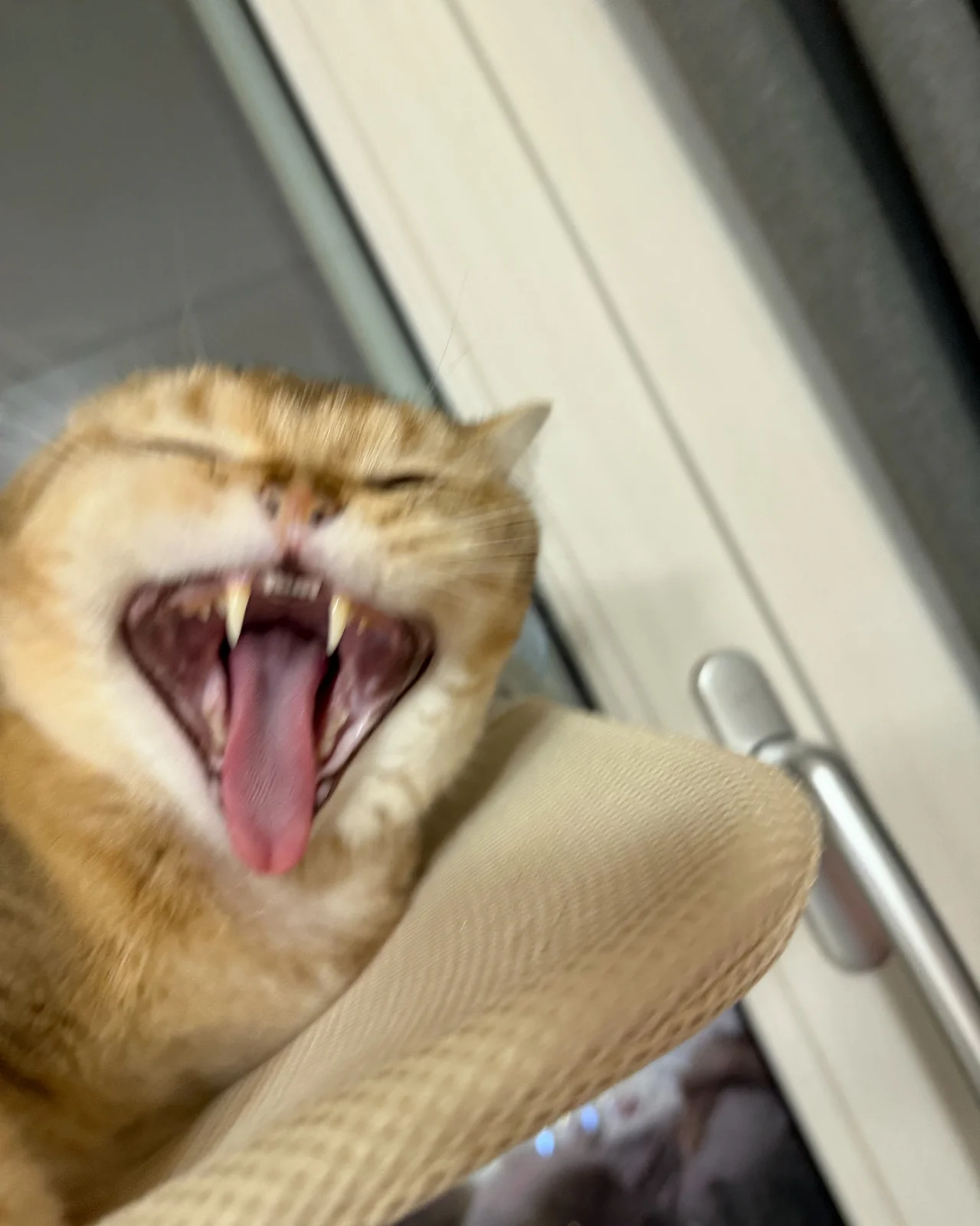 리뷰 사진 2