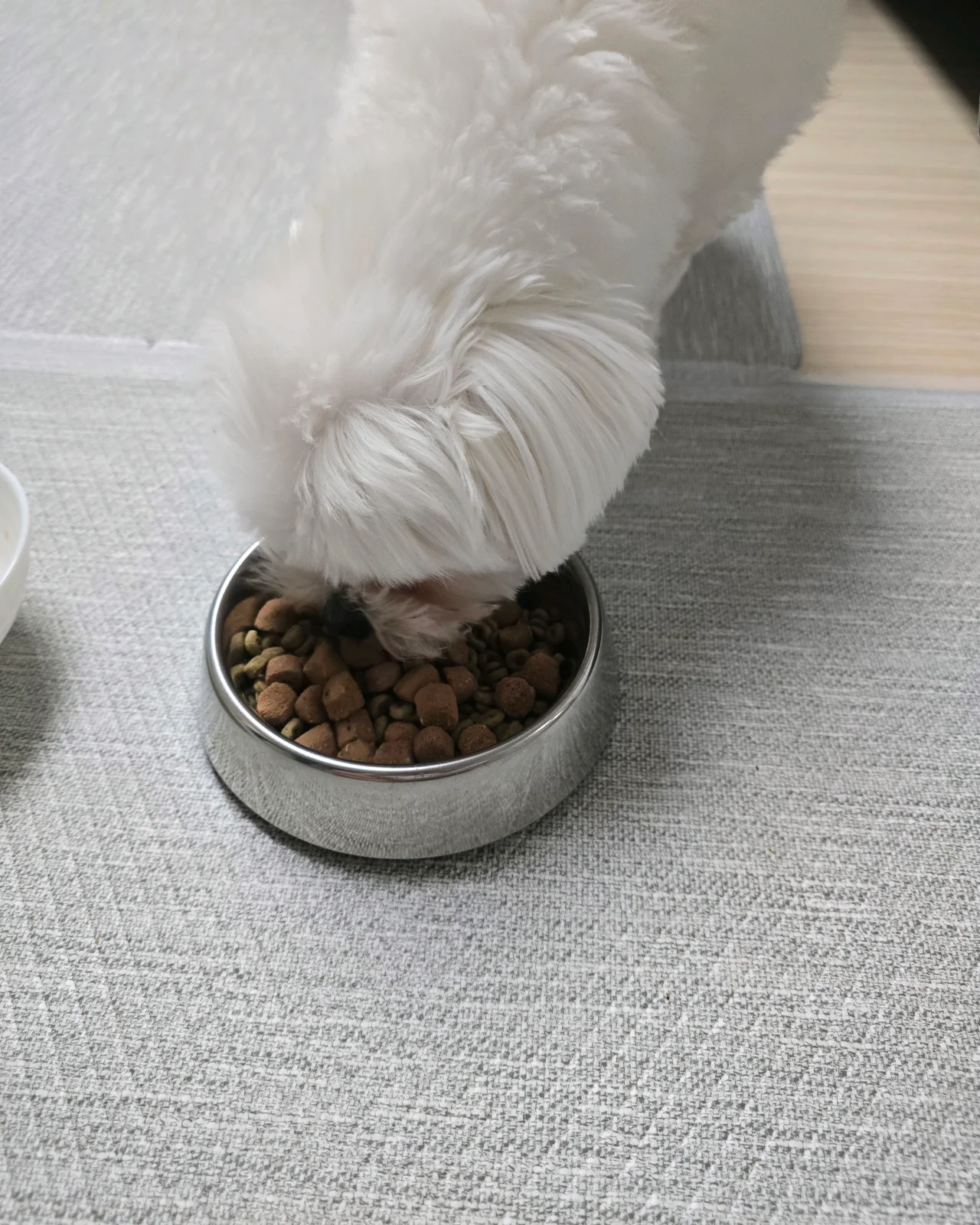 리뷰 사진 1