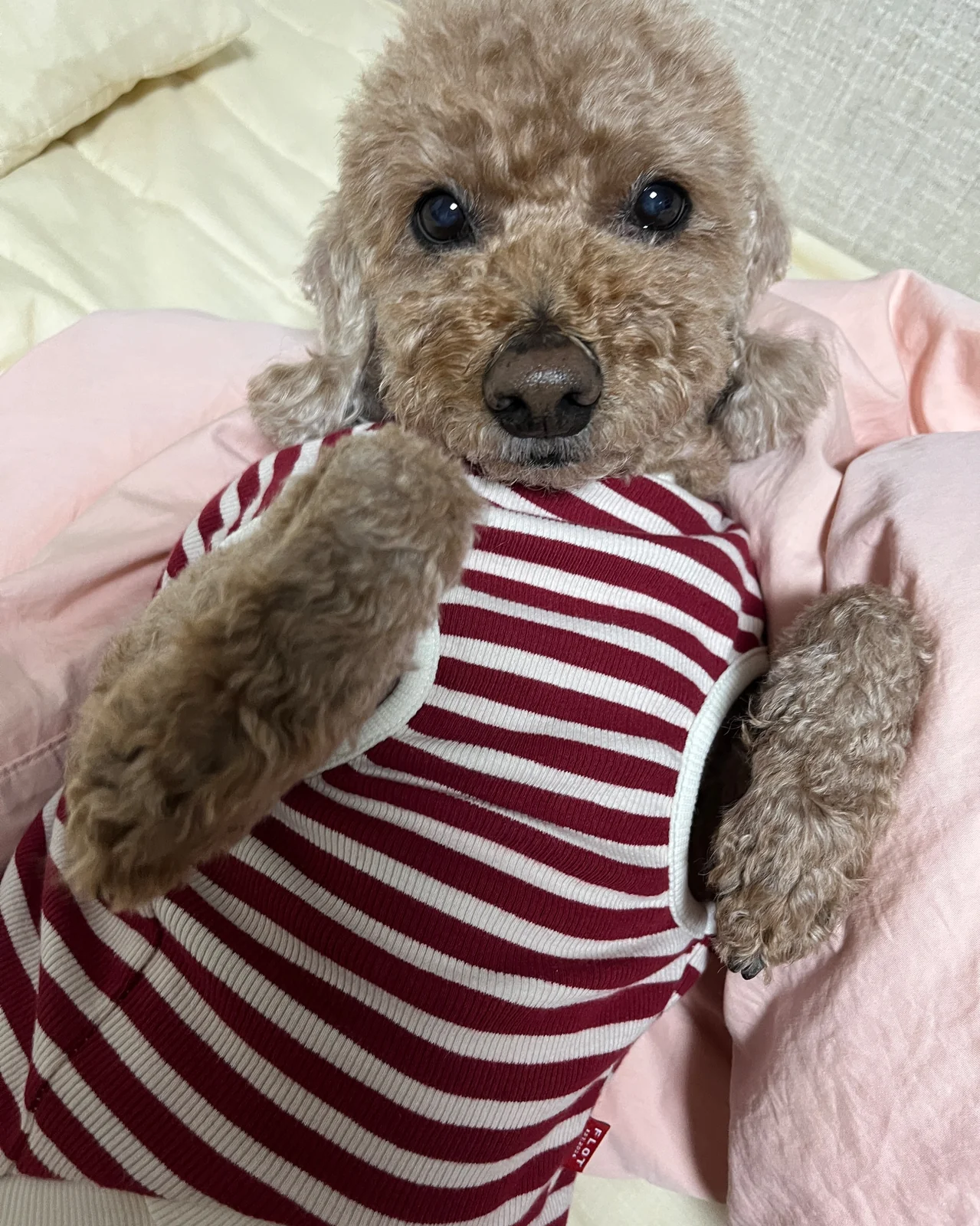리뷰 사진 3