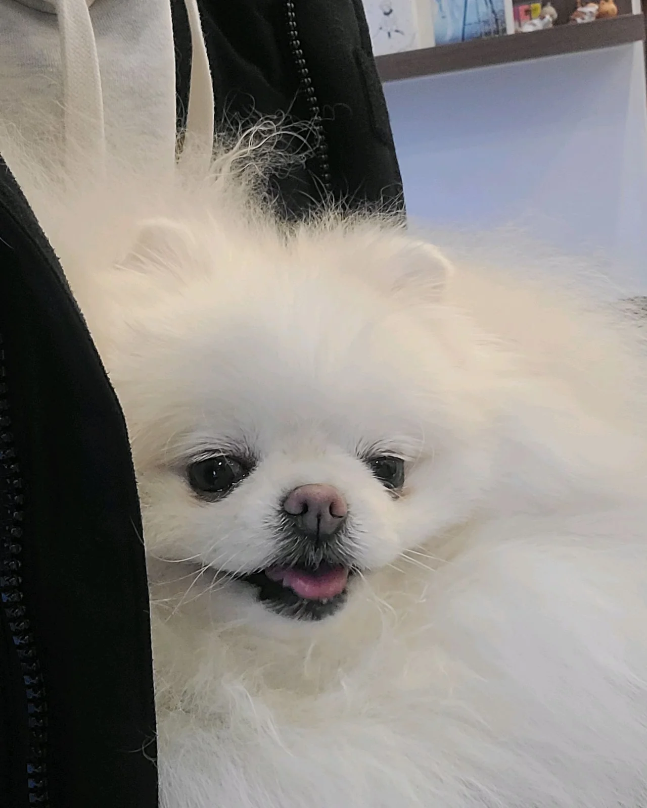 리뷰 사진 1