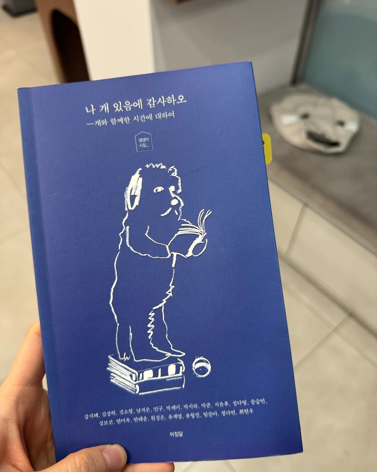 리뷰 사진 3