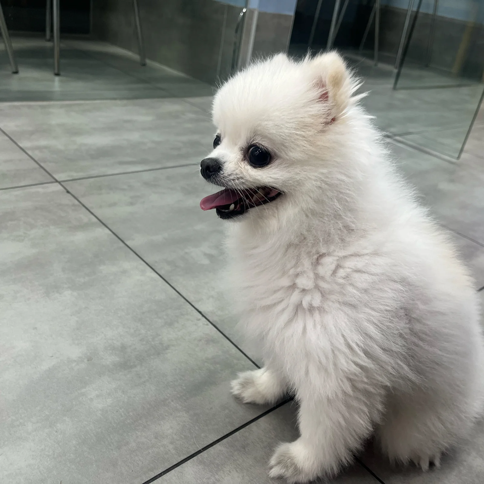 리뷰 사진 1