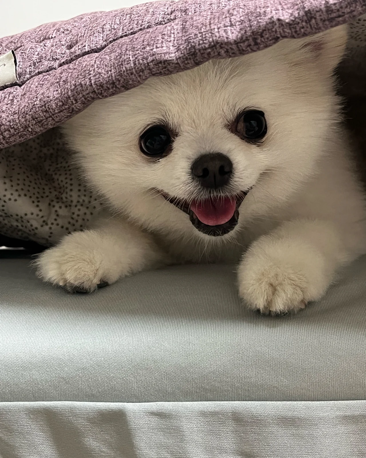 리뷰 사진 1