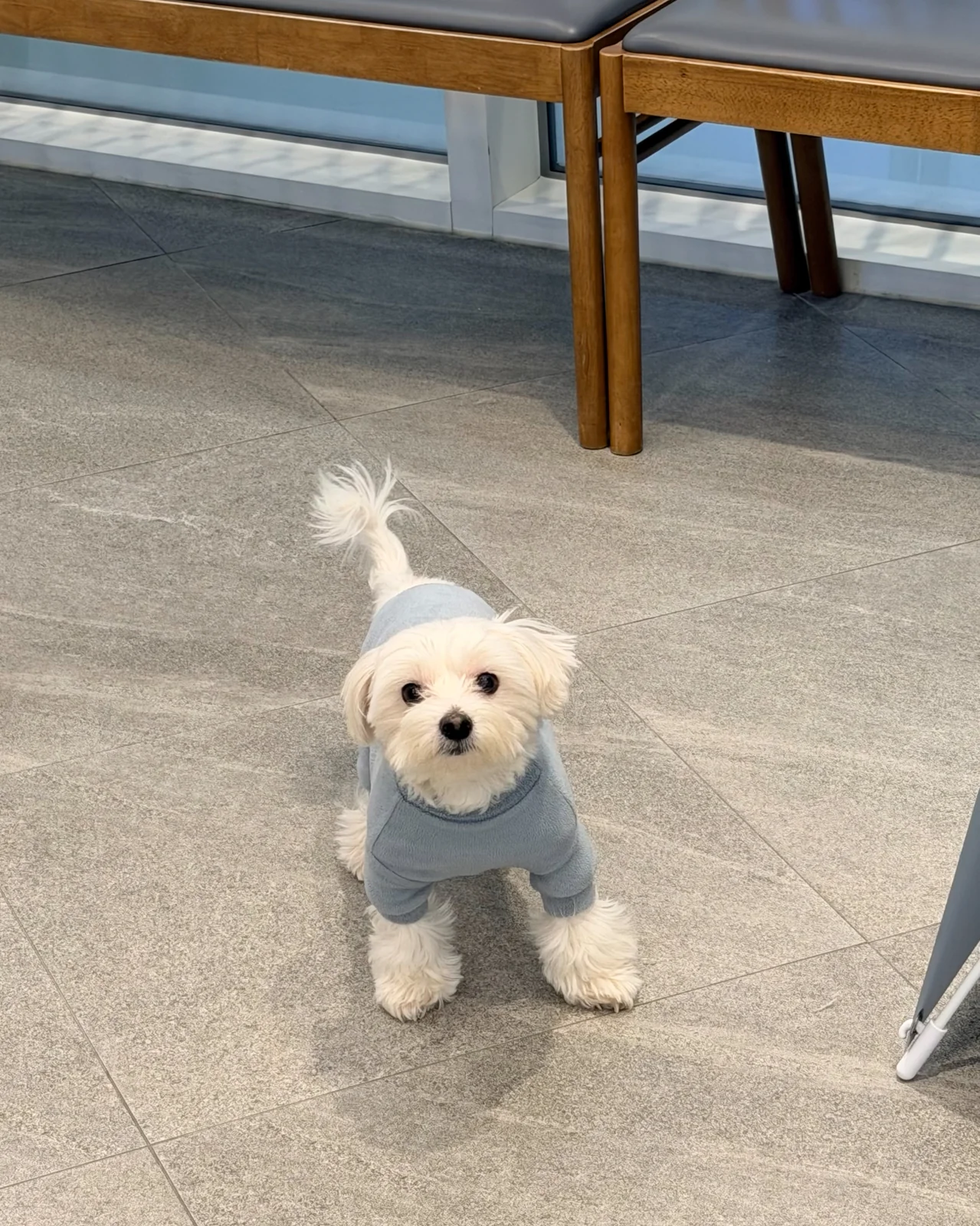 리뷰 사진 2