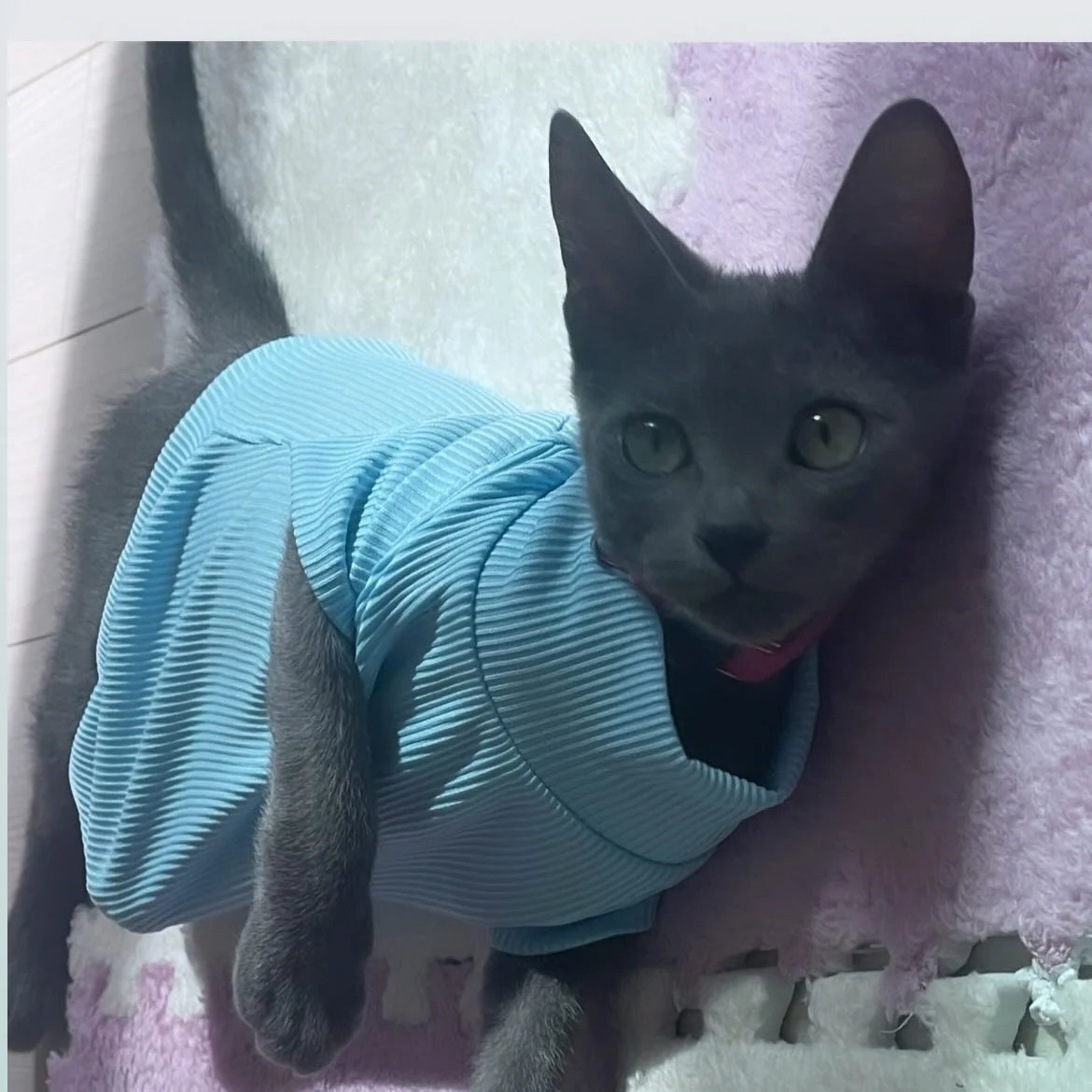 리뷰 사진 2