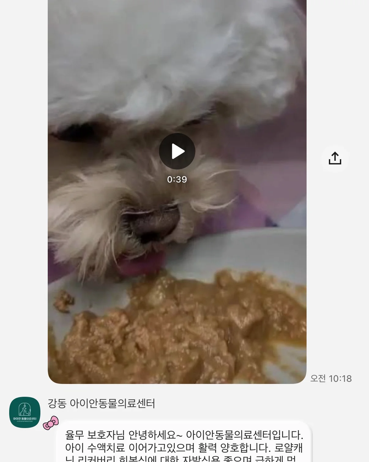 리뷰 사진 2