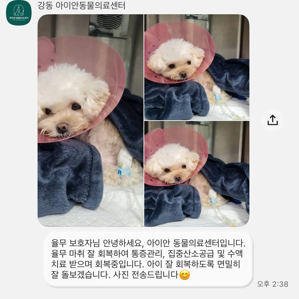 리뷰 사진 3