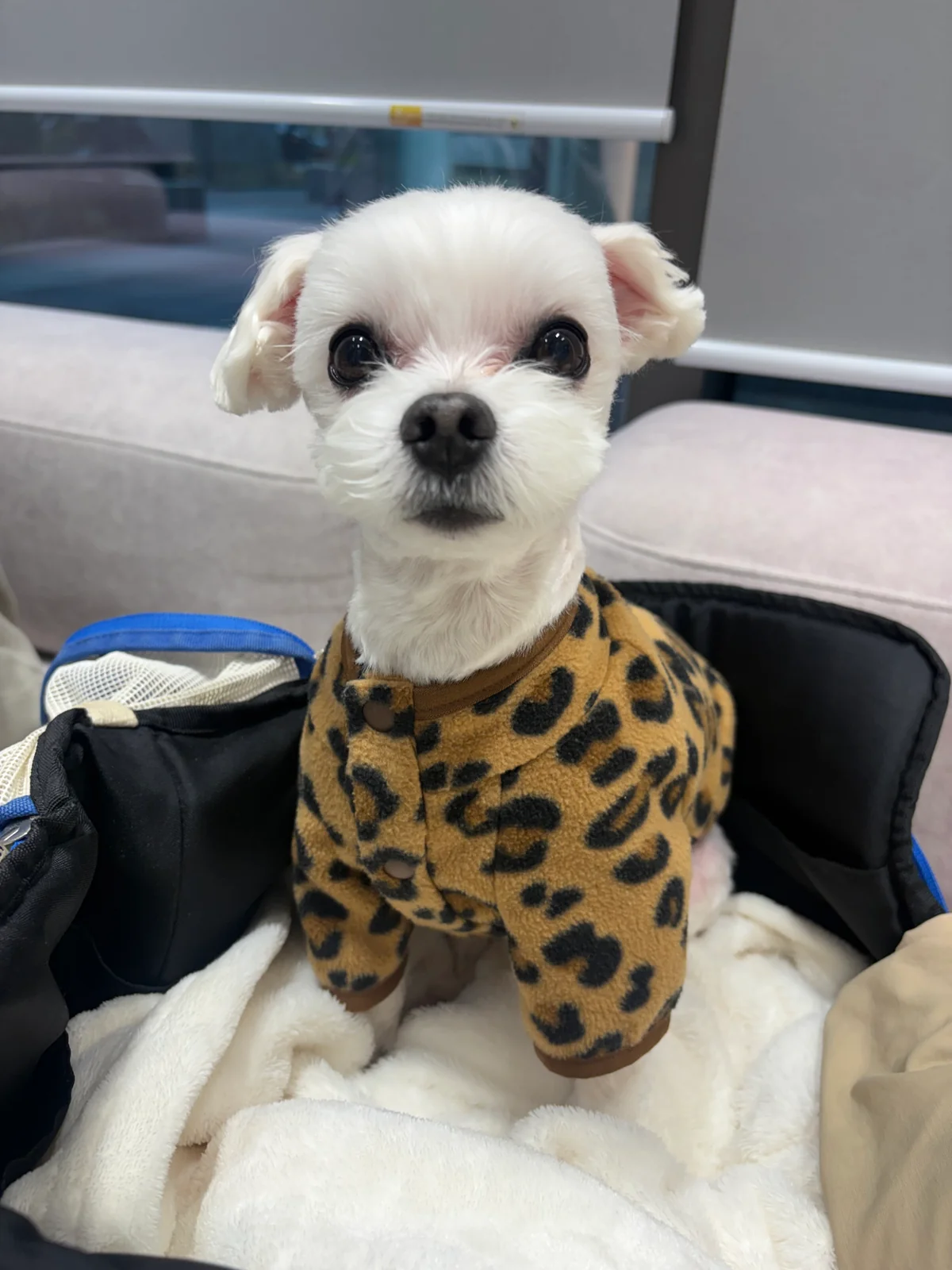 리뷰 사진 1