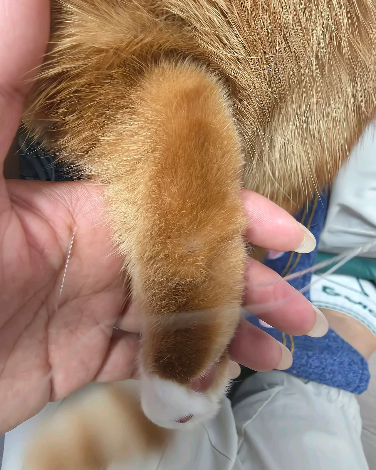 리뷰 사진 1