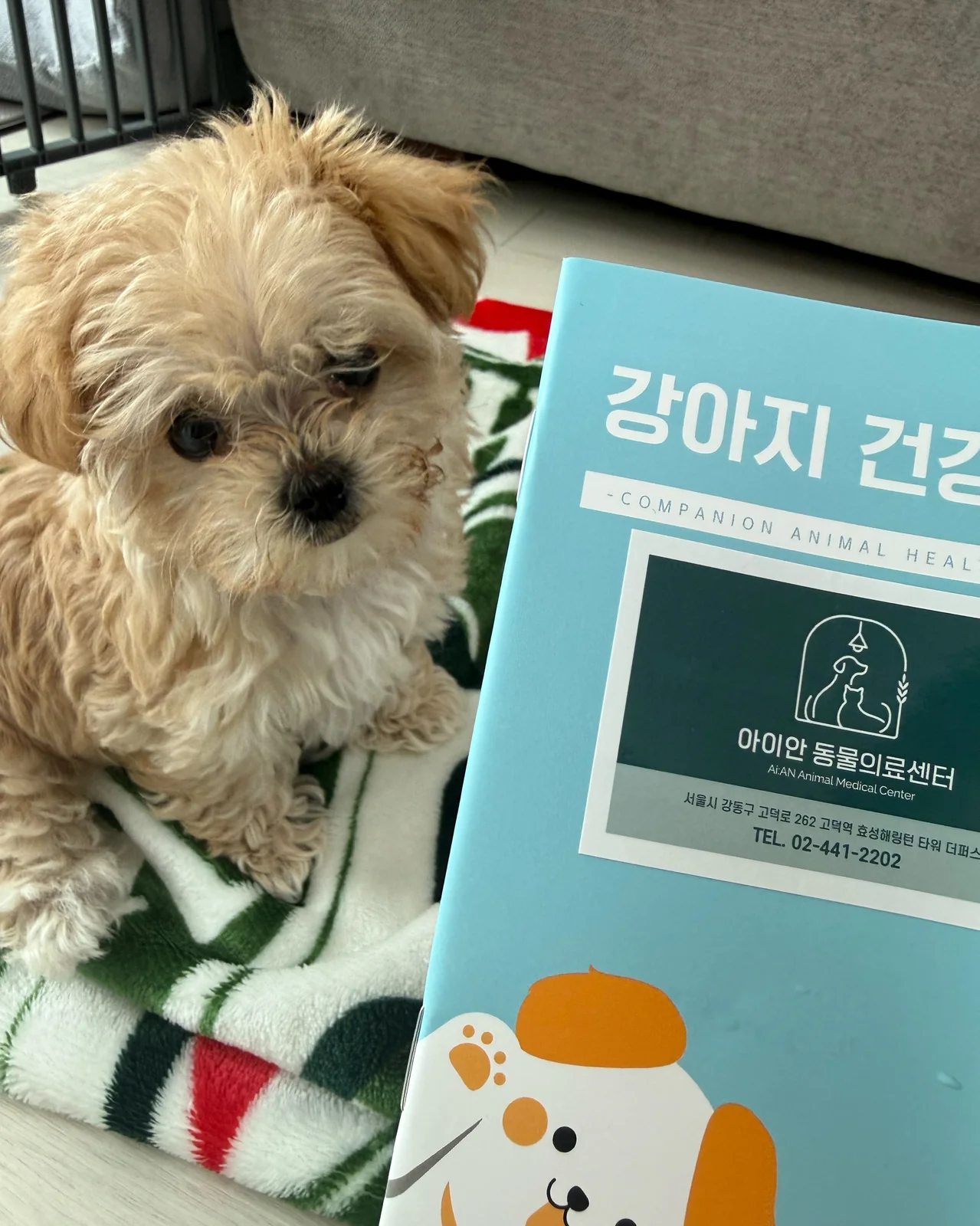 리뷰 사진 1
