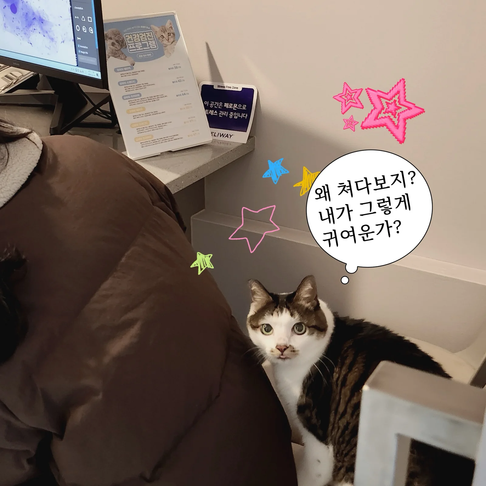 리뷰 사진 1