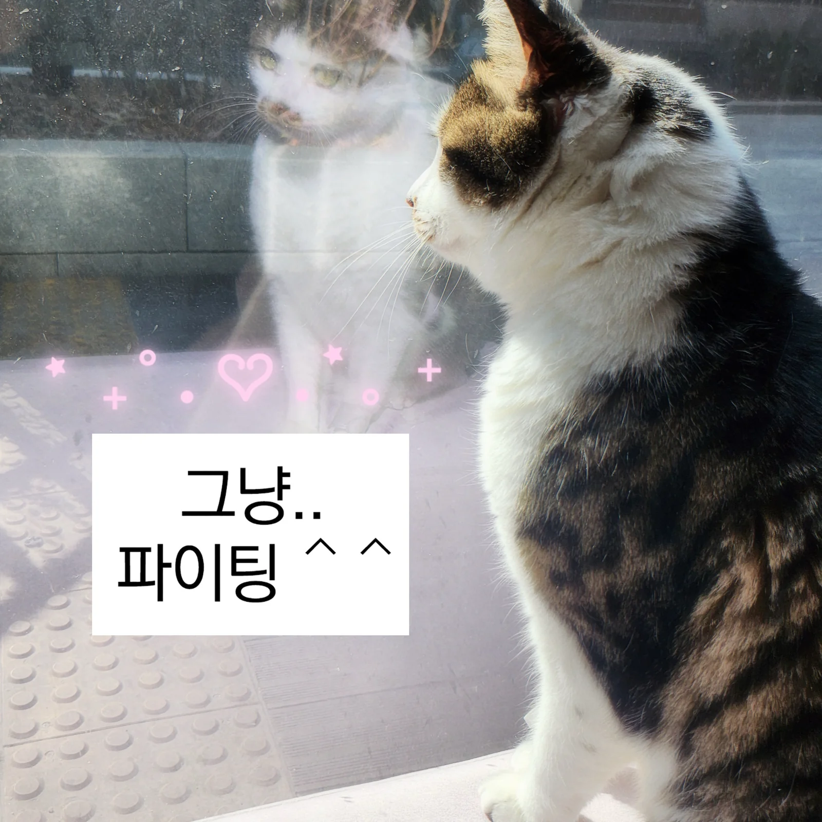 리뷰 사진 3