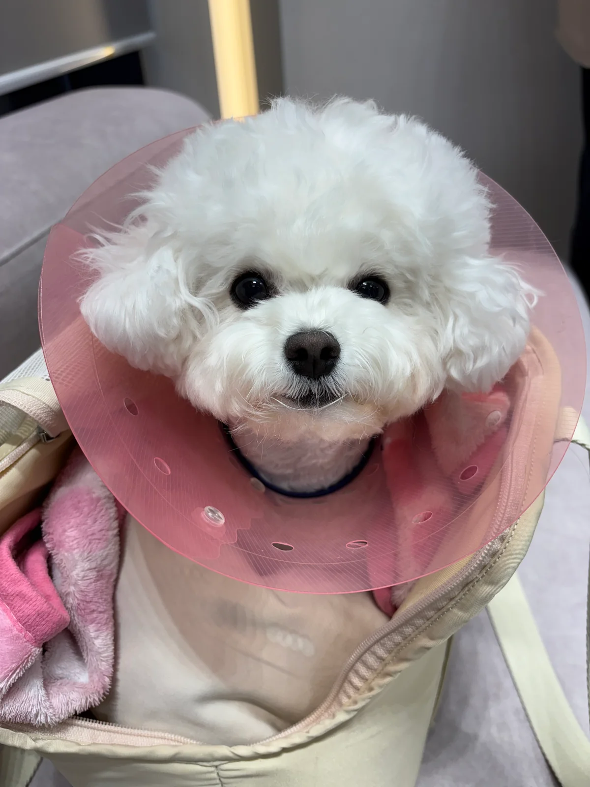 리뷰 사진 1