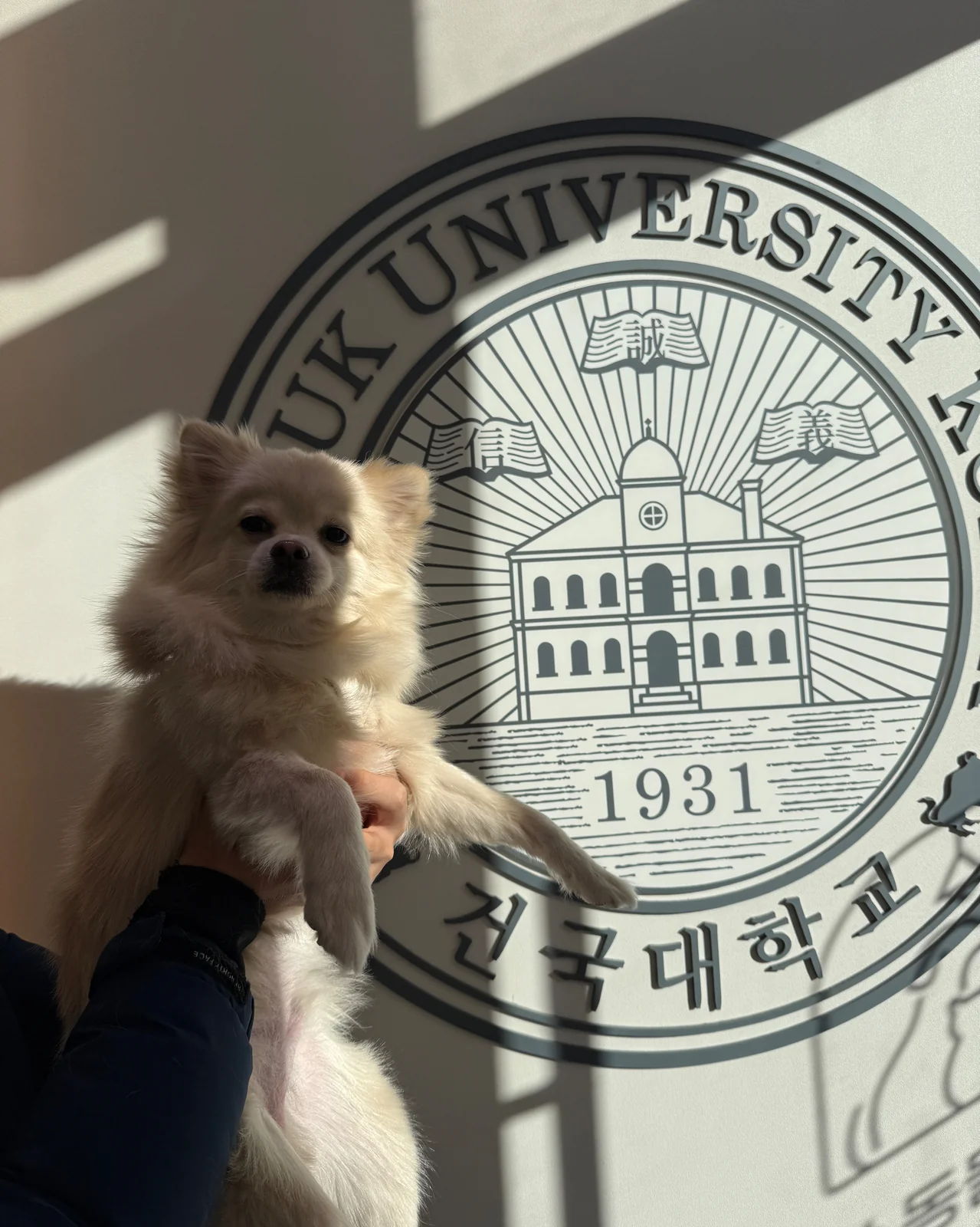 리뷰 사진 1