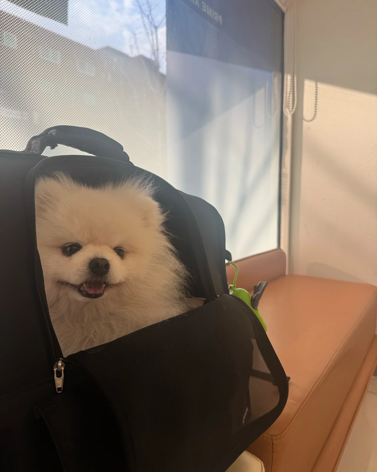 리뷰 사진 1