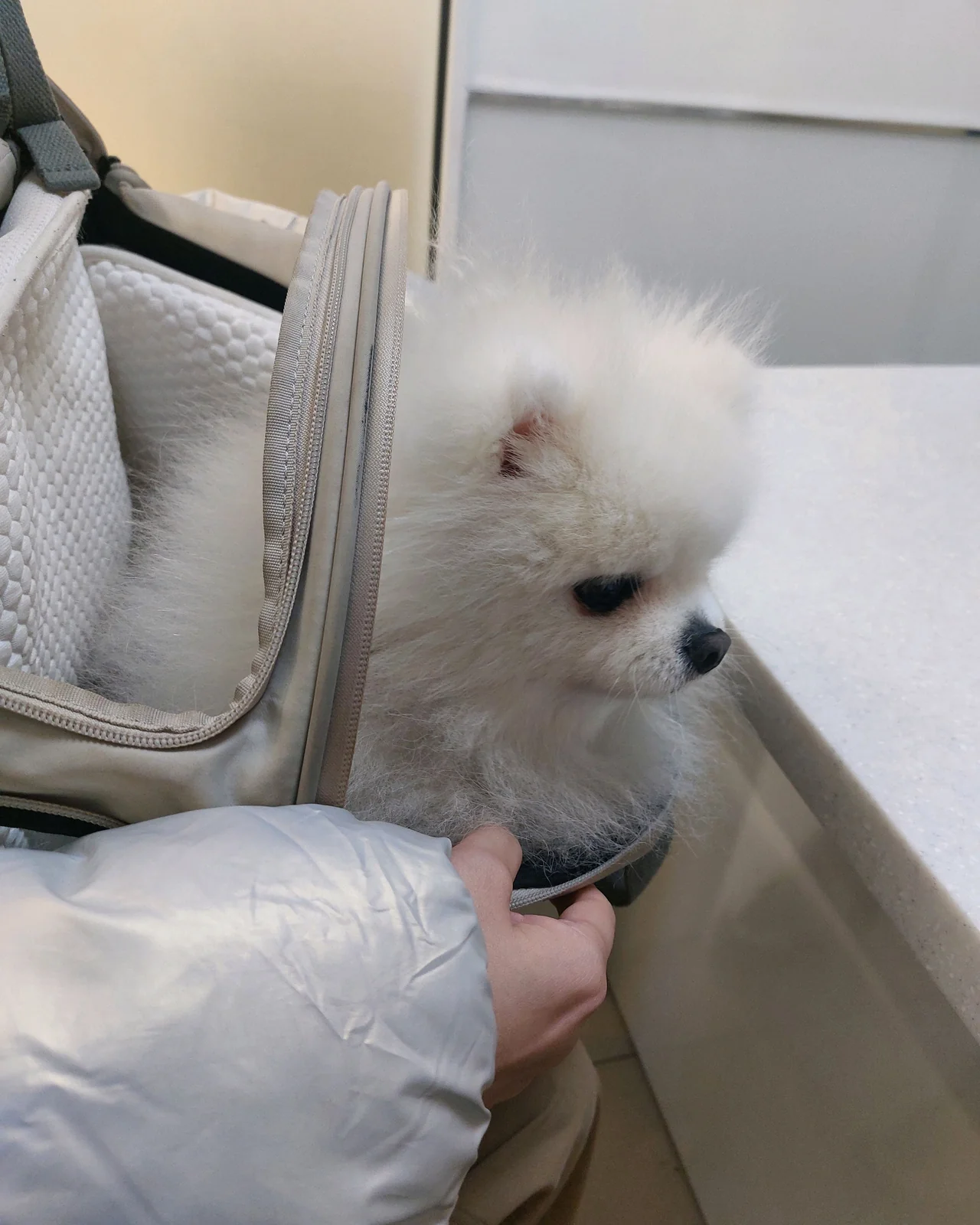 리뷰 사진 1