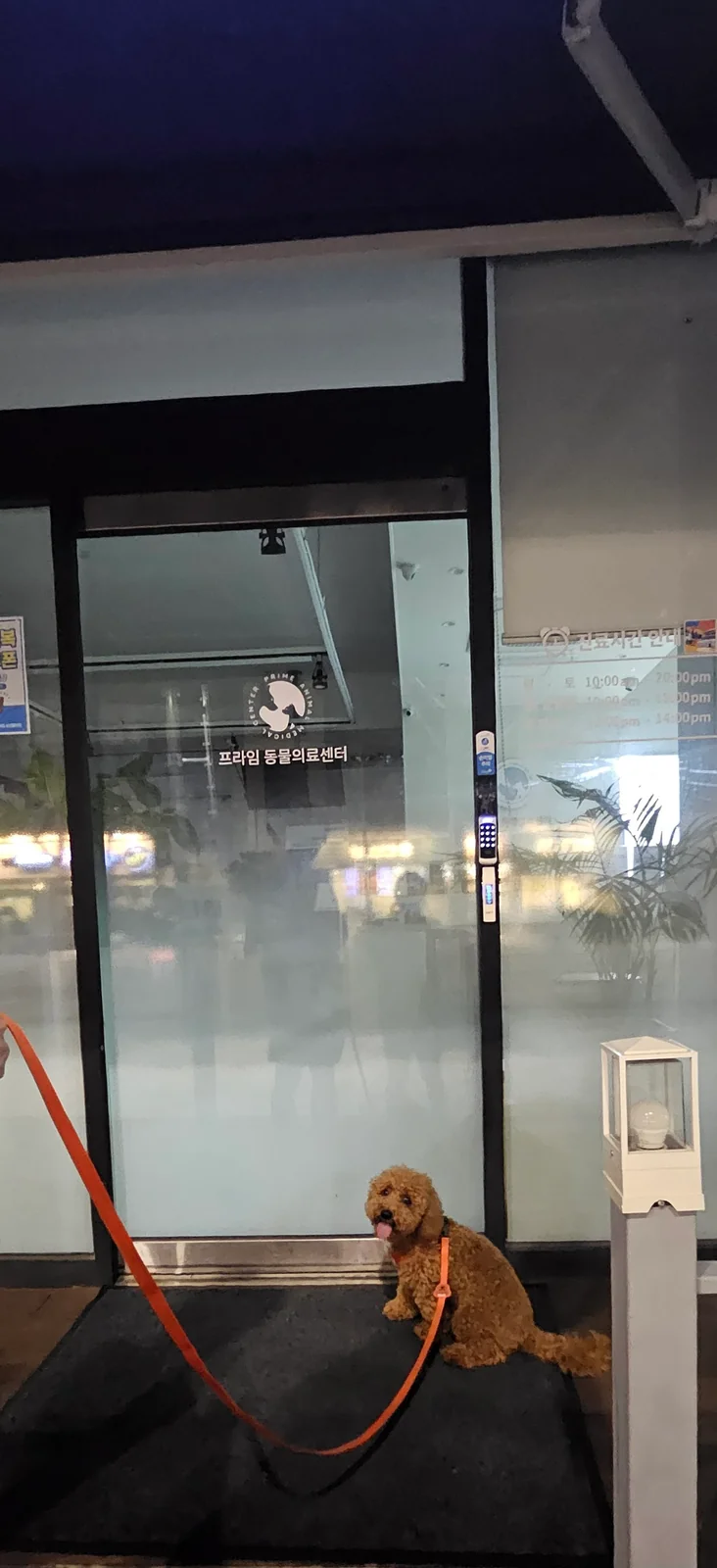 리뷰 사진 1