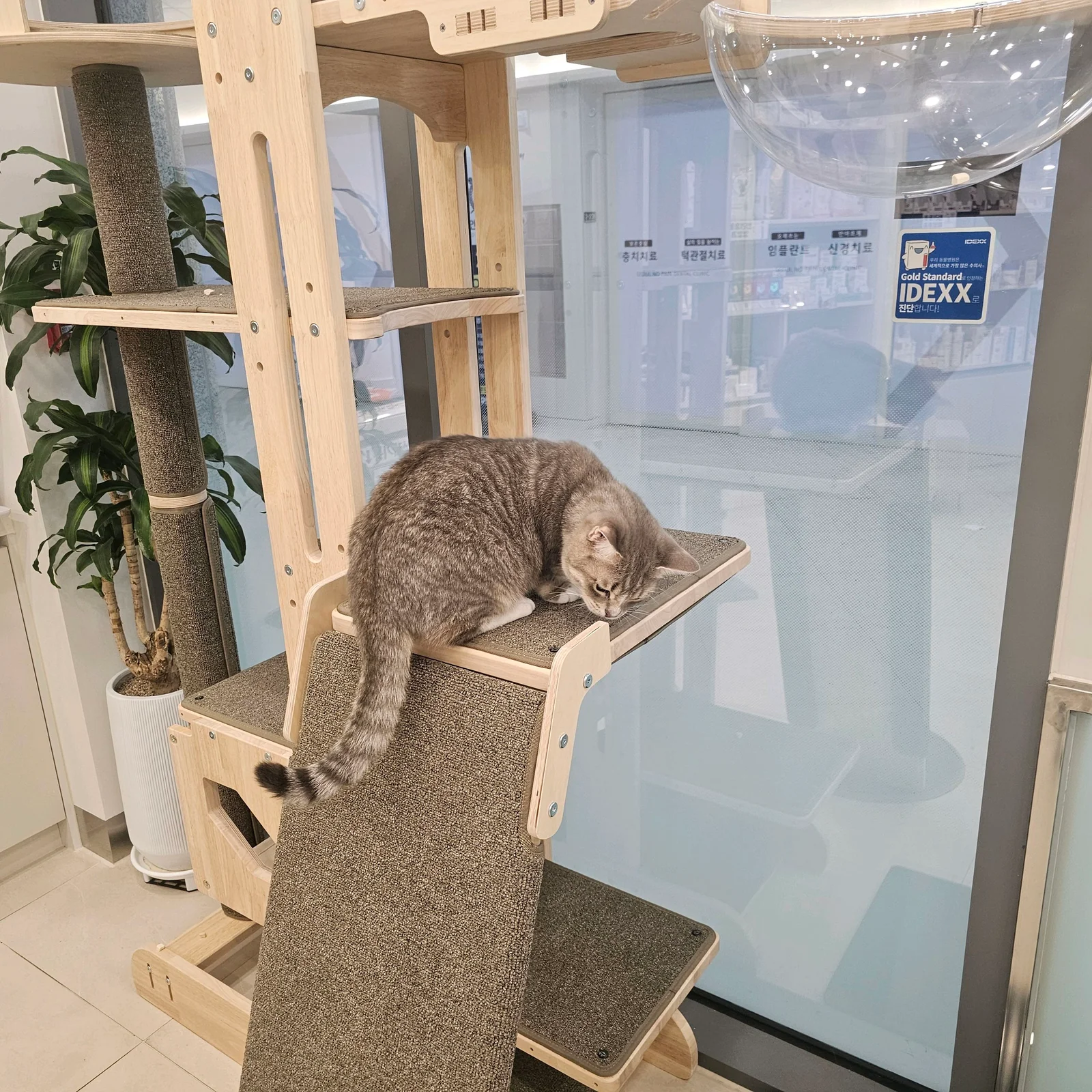 리뷰 사진 2