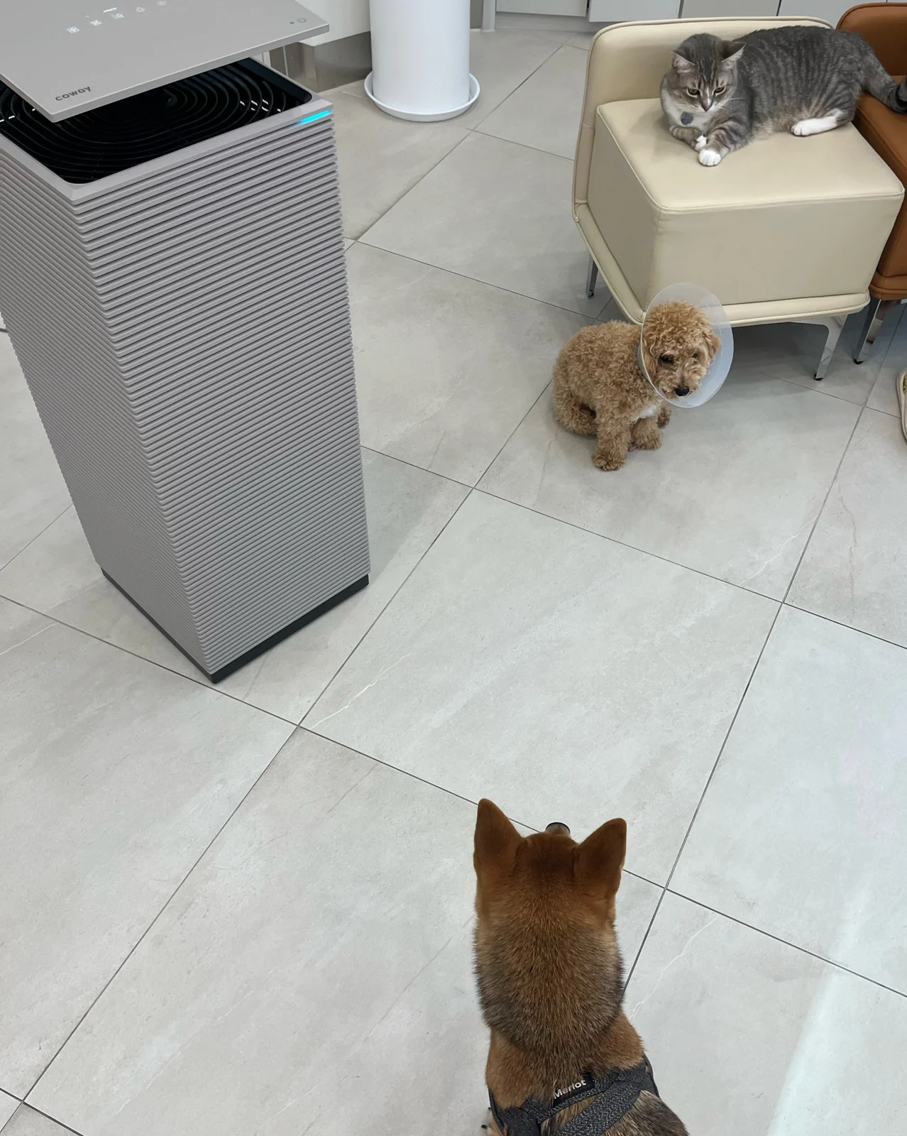 리뷰 사진 3
