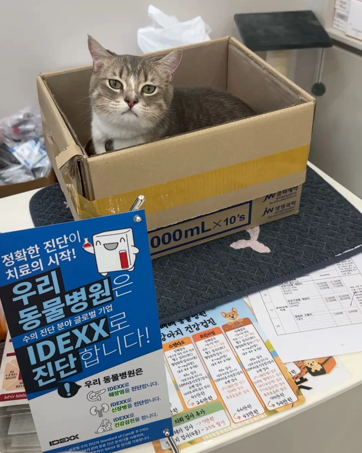 리뷰 사진 1