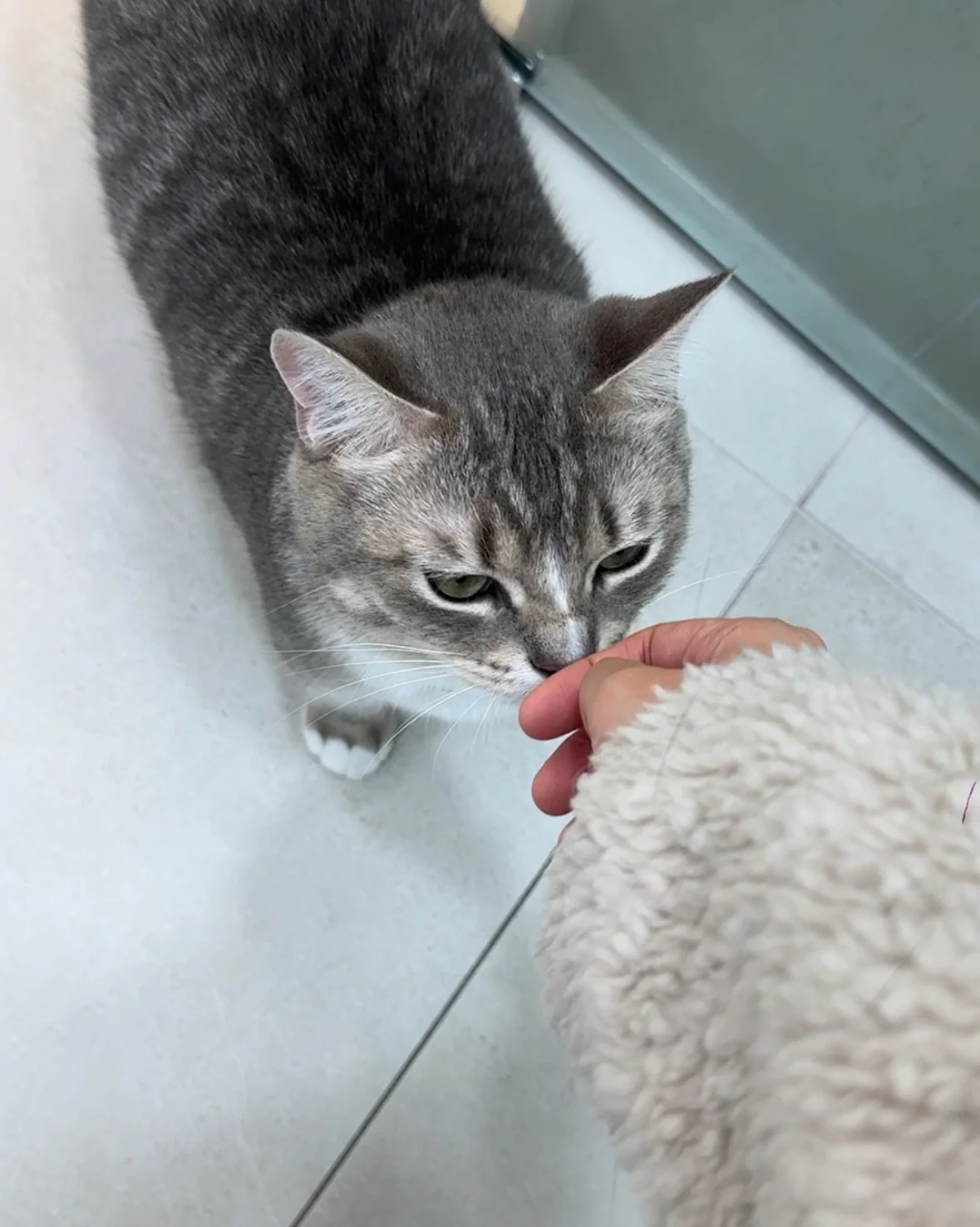 리뷰 사진 2