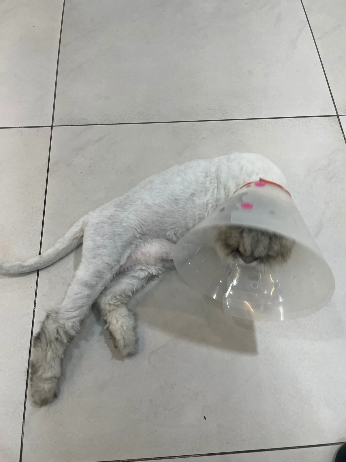 리뷰 사진 1