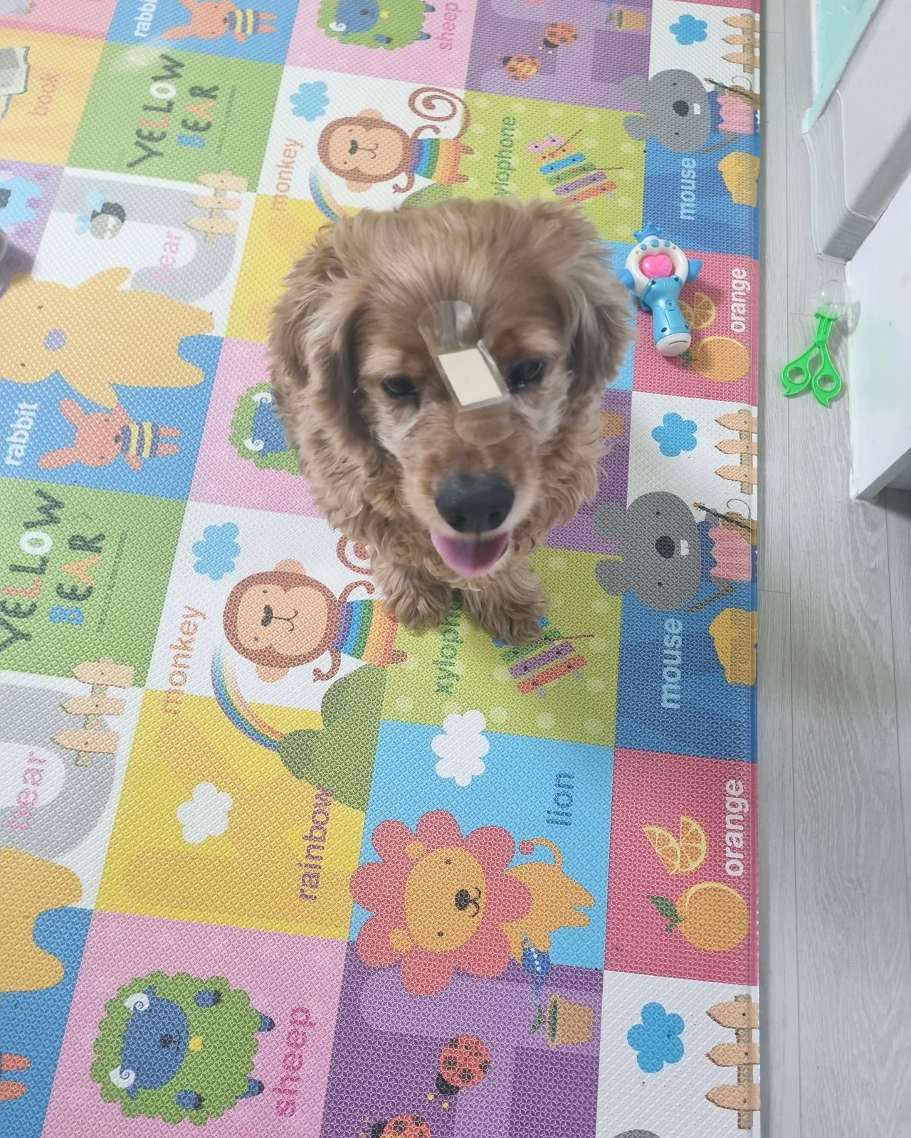 리뷰 사진 1