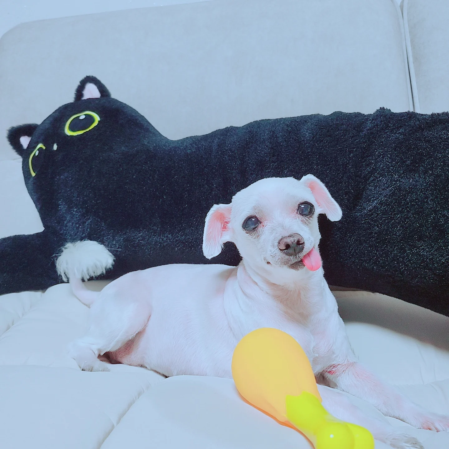 리뷰 사진 1