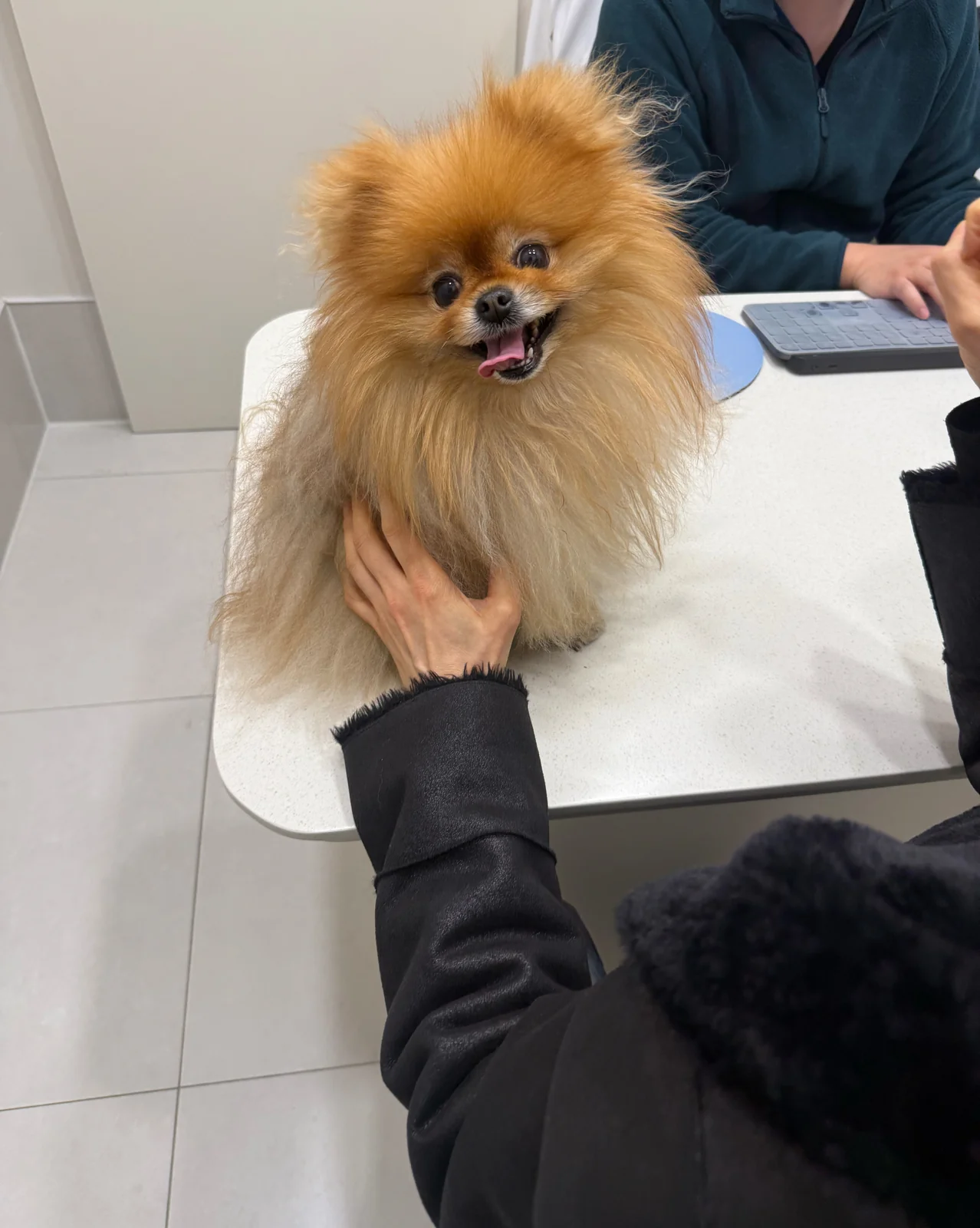 리뷰 사진 1