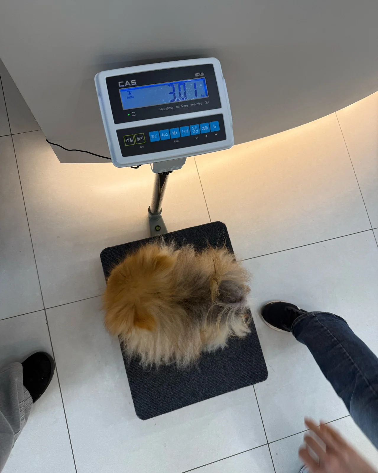 리뷰 사진 3