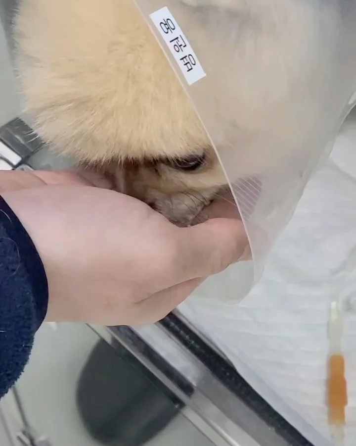 리뷰 사진 2