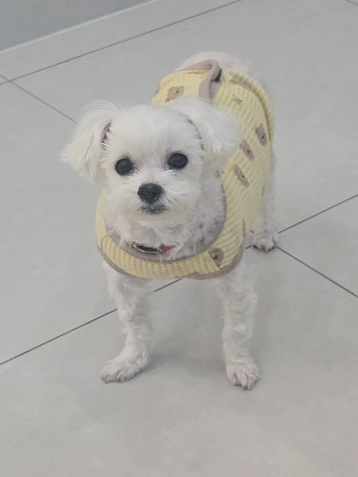 리뷰 사진 2