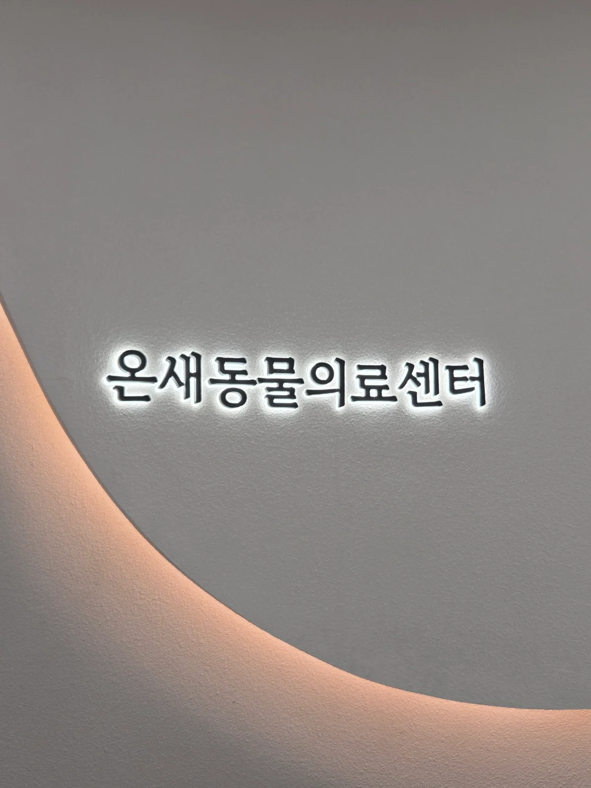 리뷰 사진 1