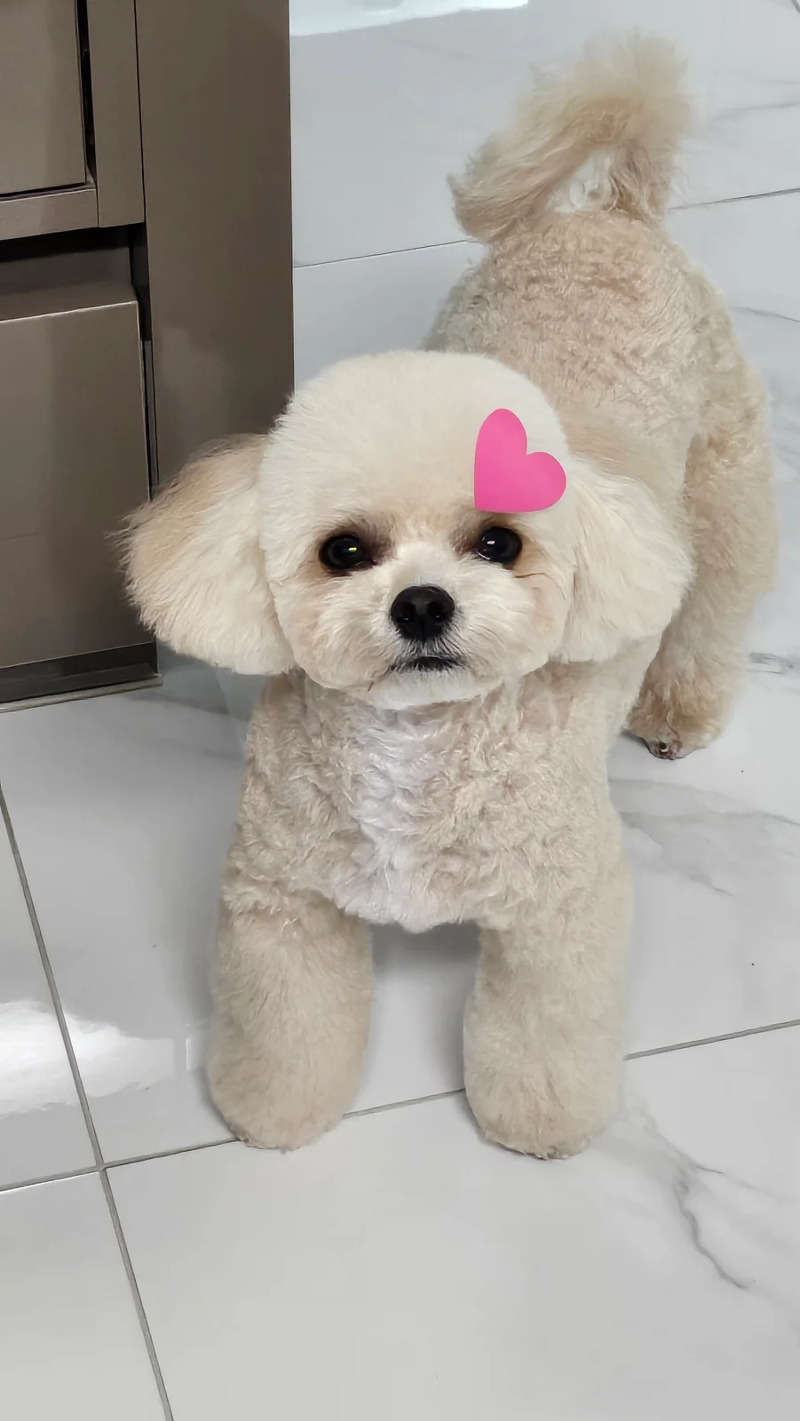 리뷰 사진 1