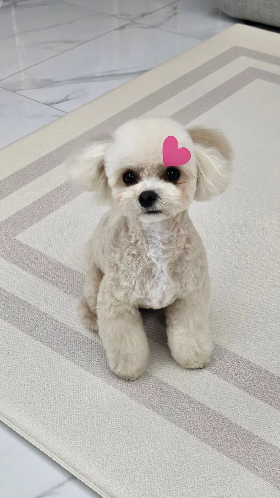 리뷰 사진 2