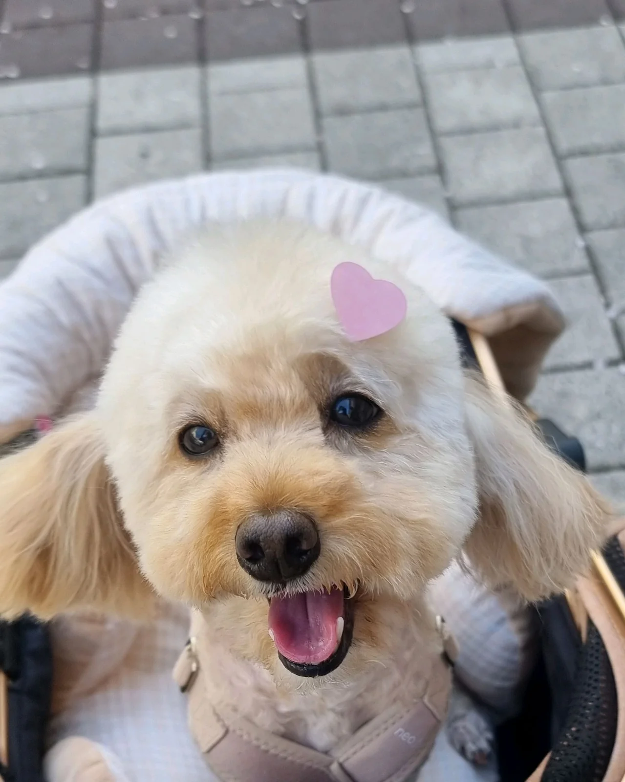 리뷰 사진 1